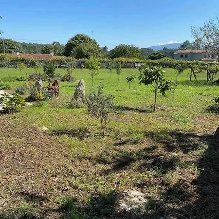 Mercedes Villa Tebra